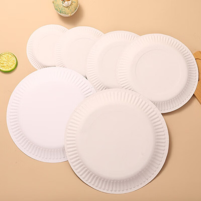 Bao Lanrui disposable paper plate painting paper plate diy painting handmade plate kindergarten creative graffiti plate cake fruit plate paper plate 6 inches about 15cm 100 pieces