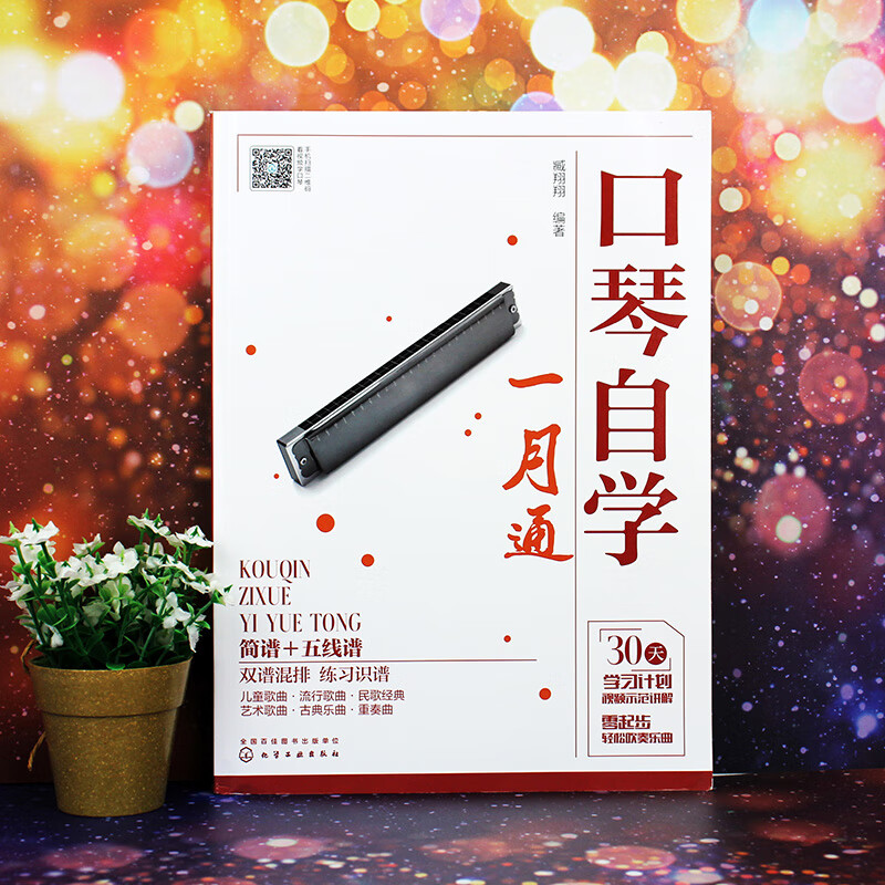 Self-study harmonica in one month