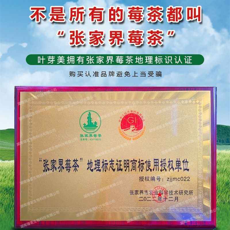 Fall in love with rose iberry tea Zhangjiajie special grade dragon beard bud tip Maoyan mold Tujia berry tea Yongshun longevity 52g canned bud tip (take 2 copies + handbag)