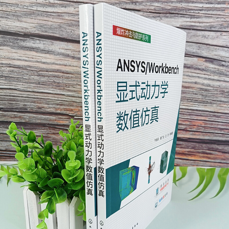 ANSYS/Workbench Explicit Dynamics Numerical Simulation