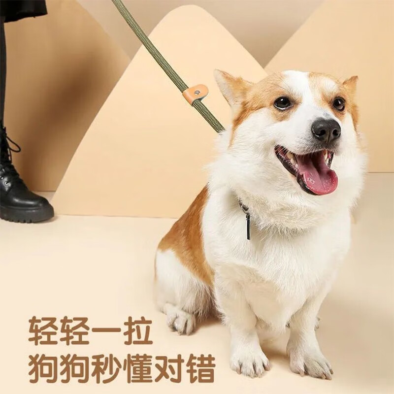 Lanswood dog leash dog leash P chain dog leash dog walking rope p rope explosion-proof red internet celebrity small, medium and large dog teddy pet matcha color event grade P rope 16mm * 1.5 meters recommended weight within 50-120 pounds