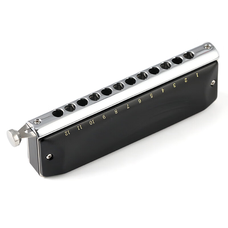 JDR JDR chromatic harmonica 12-hole C key GM-0648 imported gongs for beginners and professional players - matte black
