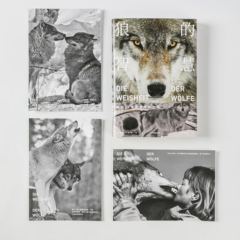 Recommended by Fan Deng: The Wisdom of Wolves, My 25-Year Journey to Observe Wolves in the Wilderness (Xinsi Library), CITIC Publishing House’s recommended popular science books