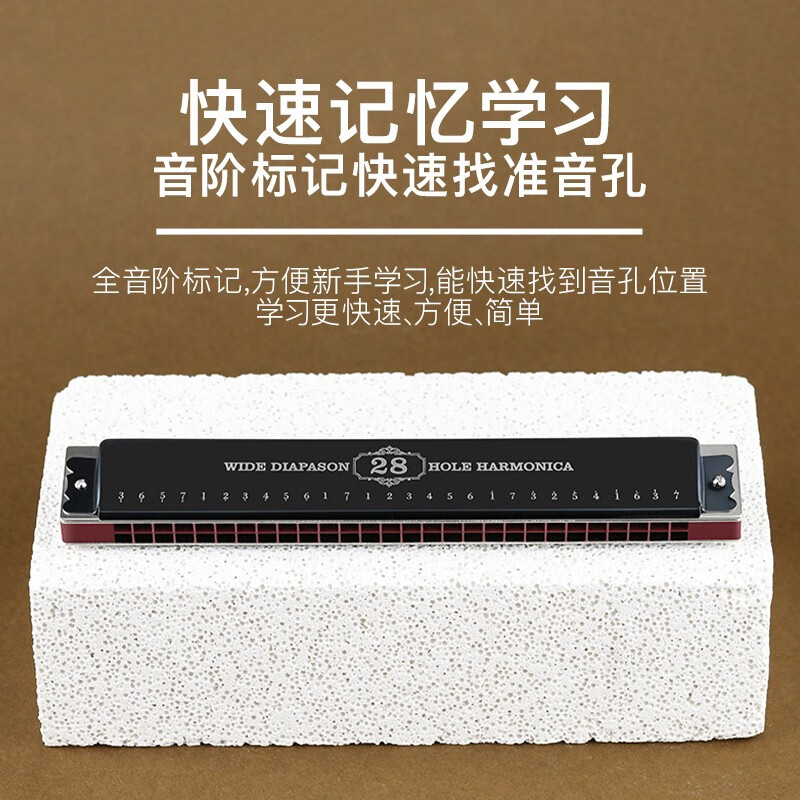Swan (SWAN) imported gongs 28-hole professional harmonica advanced adult children's musical instrument school season gift 28-hole C polyphony professional performance level