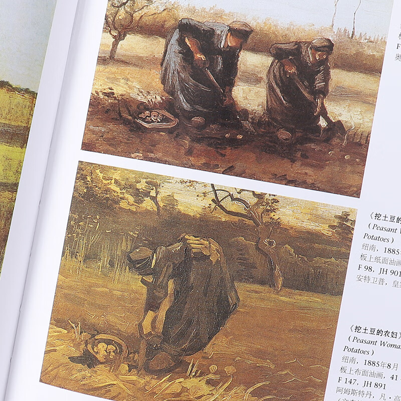 Van Gogh (Taschen original introduction, complete collection of Van Gogh's paintings, post-impressionism master oil painting album)