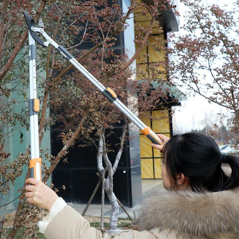 Arrizo thick branch scissors, gardening, fruit tree pruning, branch shears, pruning shears, garden powerful scissors, telescopic scissors, scissors, manual farm tools, 3rd generation shark mouth to strengthen muscles and bones (shear 70)