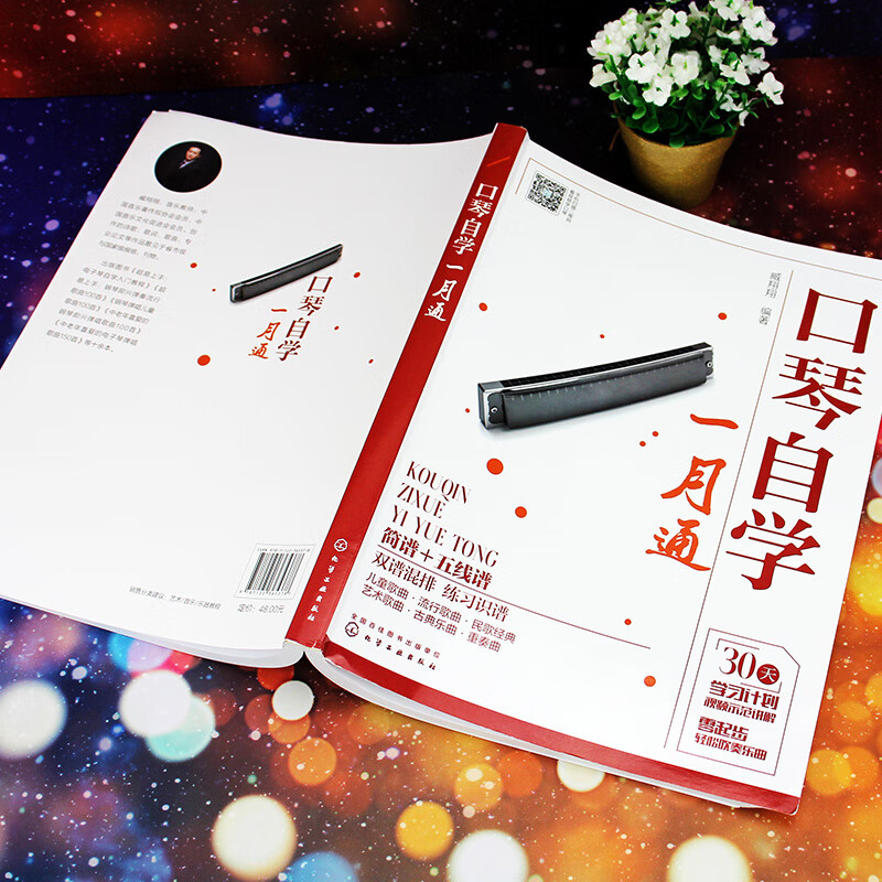 Self-study harmonica in one month