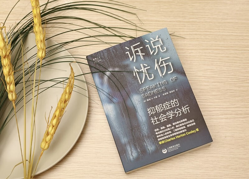 Telling Sorrows: A Sociological Analysis of Depression