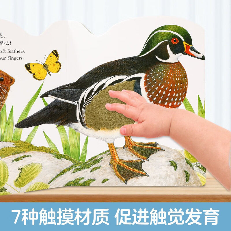 Bright and exquisite touch book-Billy the Rabbit/Bobby the Bear/Oscar the Otter (set of 3 volumes) 0-2 years old children's enlightenment simulation touch touch book low cognitive picture book can click to save money card click to read audio book audio book early education audio book