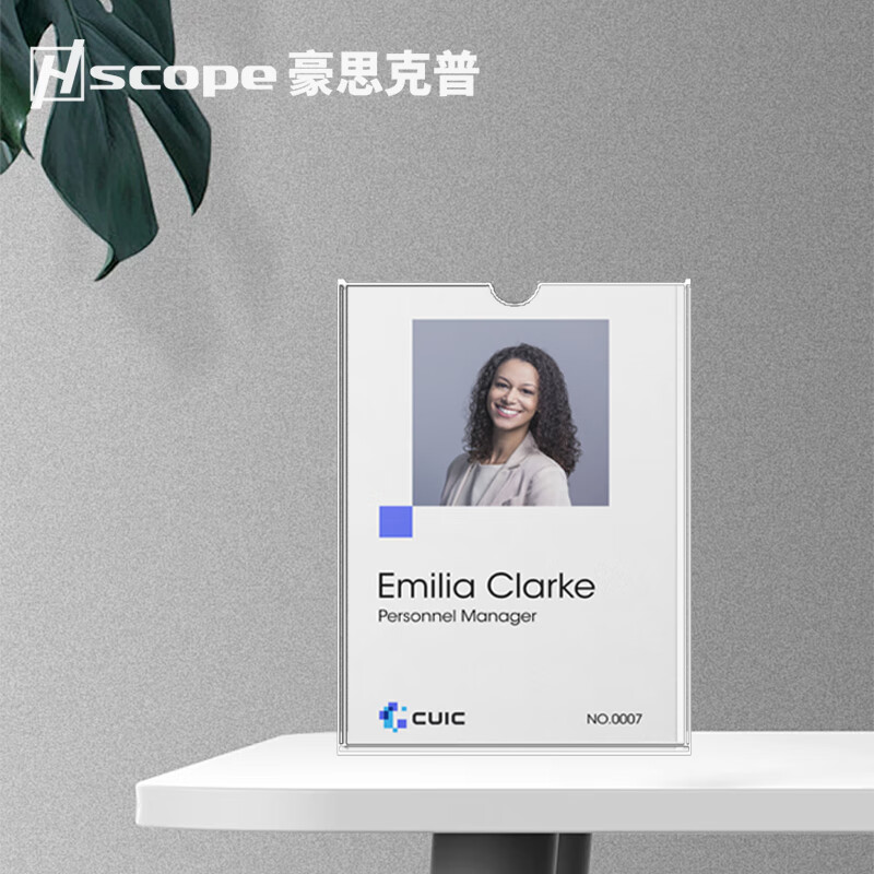 Hauskop Acrylic Card Slot A4 Vertical (Double Layer) Transparent Announcement Display Board Card Slot Post Card Photo Frame Display Card 1 Pack