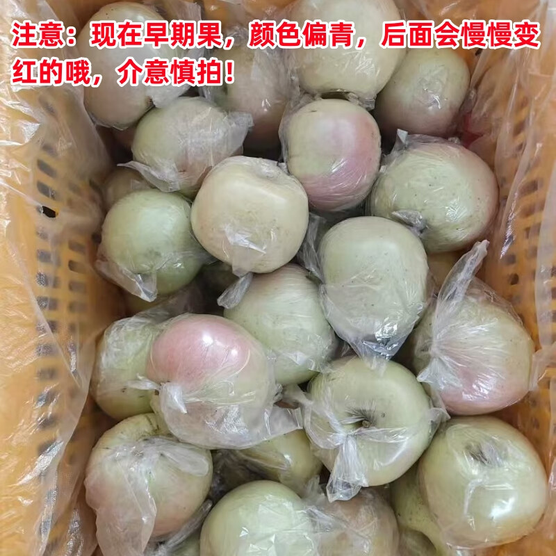 Freshly picked red Fuji apples from Shaanxi are in season, crispy, sweet and ugly apples, rock sugar crispy Fuji apples, whole box, selected 9kg, net weight 8-8.5kg, 80mm and above