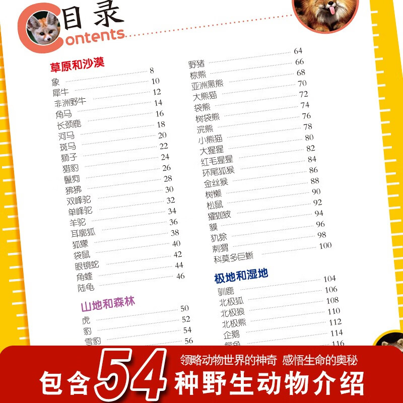 Encyclopedia of Wild Animals, Color Pictures and Phonetic Version of Popular Science Books, Little Eyes Seeing the World, Children's Encyclopedia of Scientific Enlightenment and Cognition