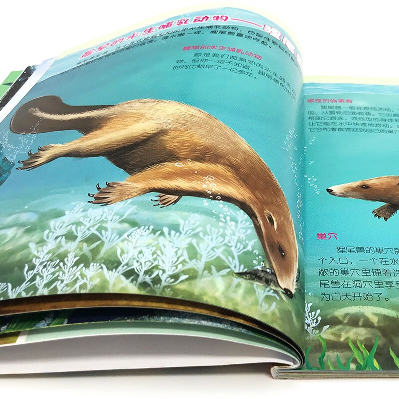 3-6 years old, Children's Eyes to Know the World Science Museum, Prehistoric Animals