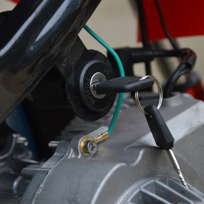 Langchuang (LANGCHUANG) two-stroke children's motorcycle pull start motorcycle off-road vehicle entertainment adult mini racing fuel model blue