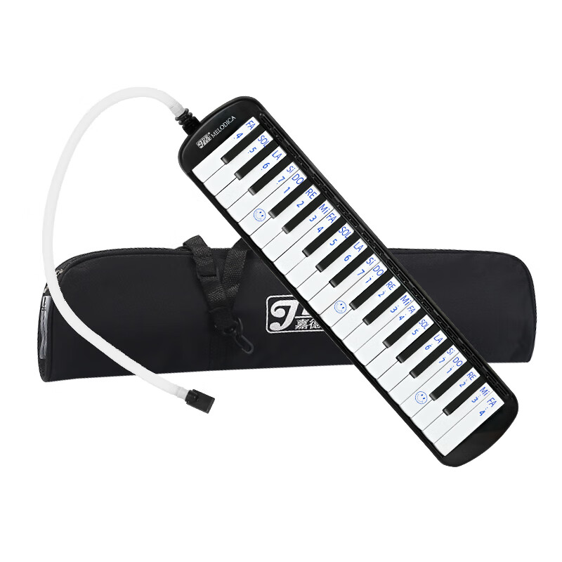 Jiade Rui JDR mouth organ 37-key primary school students teaching children beginners adults special playing wind instrument black