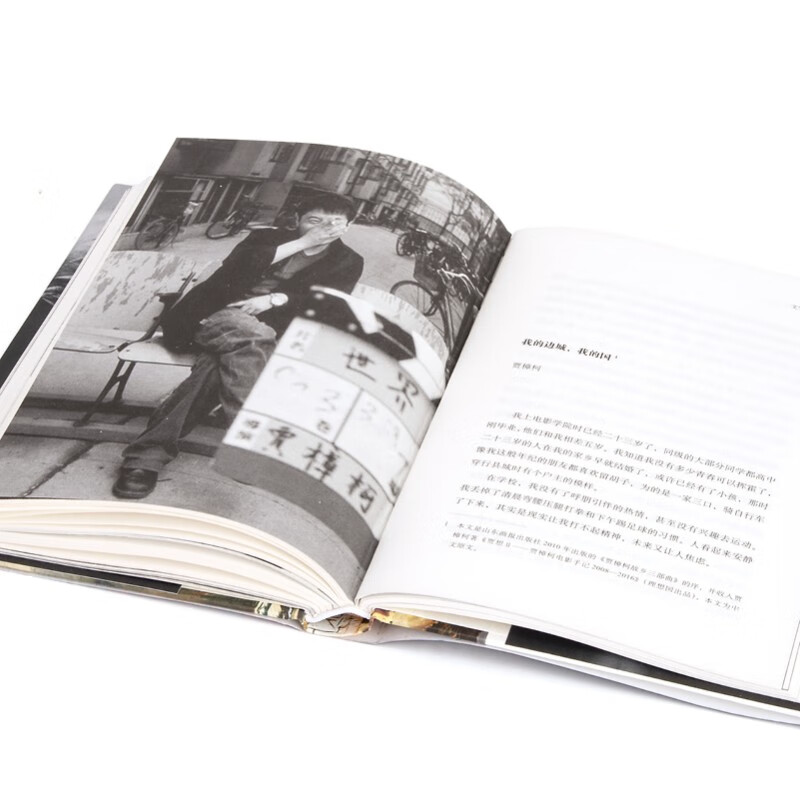 The World of Jia Zhangke (Essence)