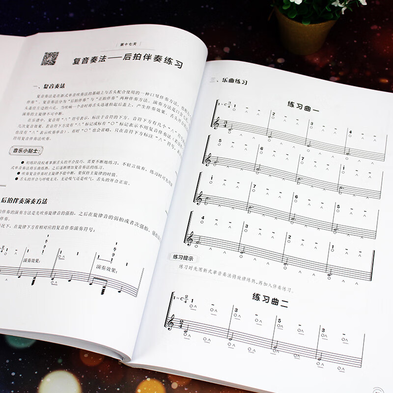 Self-study harmonica in one month