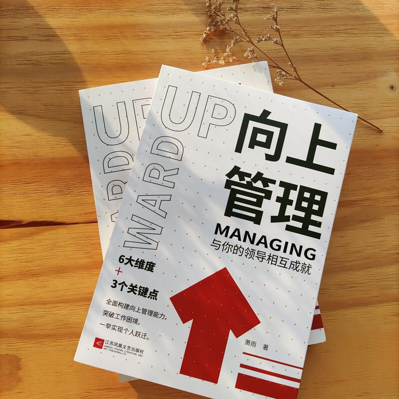 Managing upwards, achieving mutual success with your leaders, team management, business management, leadership, own competitiveness and influence, best-selling books on management