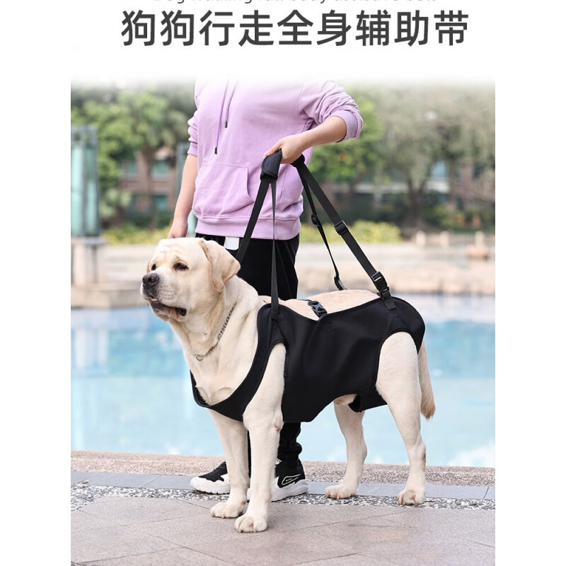 OIMG dog leash portable auxiliary belt for elderly dogs, disabled dog rehabilitation exercise belt, upstairs assistance belt, black L-large