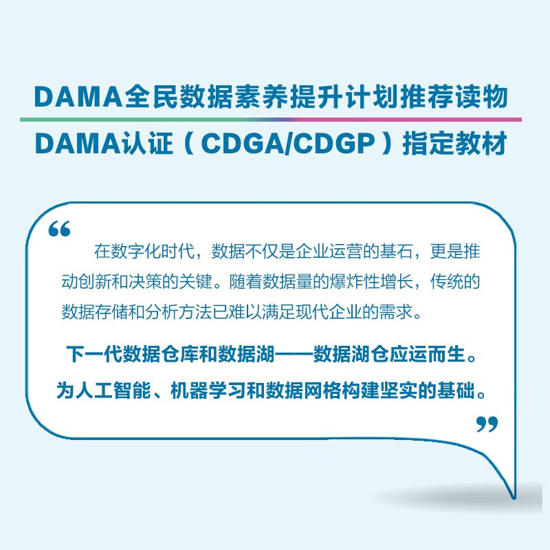 Data Lake Warehouse (produced by Asynchronous Books)