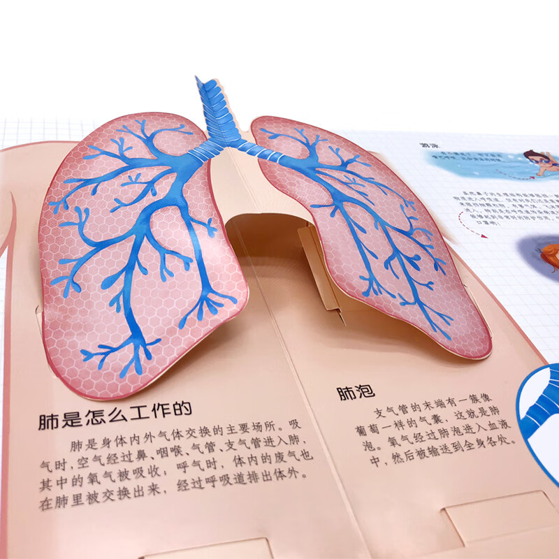 3-6 years old, moving three-dimensional popular science flip book, cute body (edited by a doctor of medicine, 10 human body scenes, 3D creative three-dimensional, fun science popularization from children's perspective, 100 moving parts, human body game card)