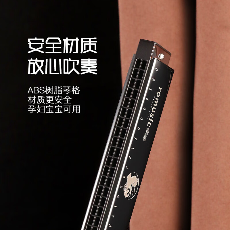 Romusic harmonica 24-hole polyphonic harmonica in C key for beginners (black) student teaching recommendation