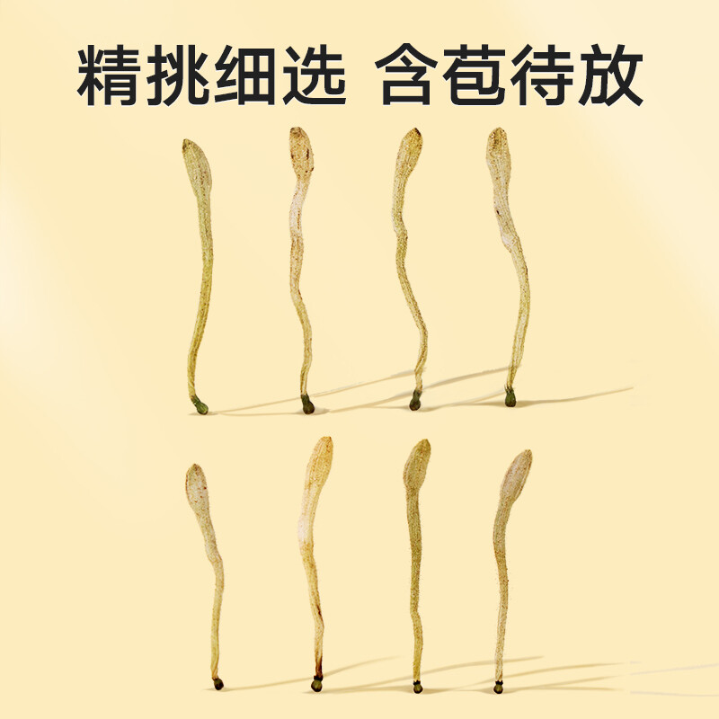 Tongrentang Brand Beijing Tongrentang Honeysuckle 60g Fresh and No Odor Honeysuckle Tea Drink Water Healthy Tea