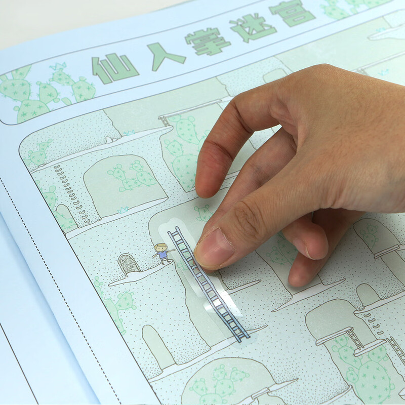 Boy's Maze (set of 2 volumes), a work by a well-known Polish illustrator and maze designer that pays homage to childhood, Waves of Flowers