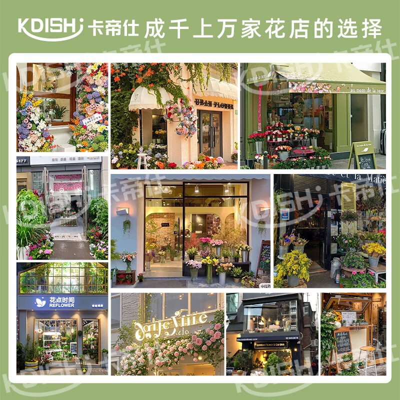 Kadis flower fresh cabinet commercial large-capacity air-cooled flower cabinet fresh-keeping refrigerator flower freezer flower refrigerated fresh-keeping cabinet flower freezer display cabinet air-cooled and frost-free high-end model oversized three-door no drainage required three-light switching