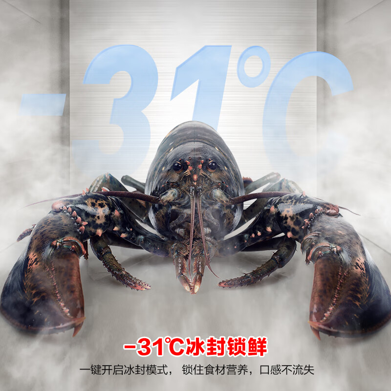 Rongsheng small square cake 410L cross door refrigerator glass ultra-thin zero-embedded small apartment first-level energy efficiency air-cooled frost-free dual frequency BCD-410E30CZGAD national subsidy