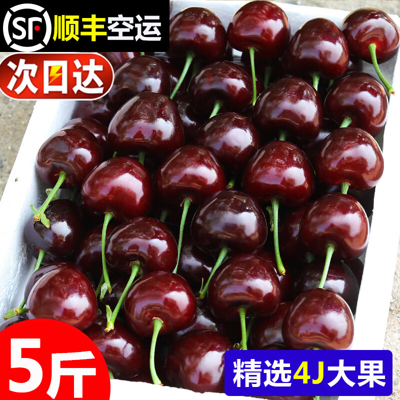 Spot Chilean imported cherries, fresh cherries, seasonal high-end extra large Chilean cherries whole box pregnant woman gift box 1500g (net weight) Fruit King 4J32-34mm