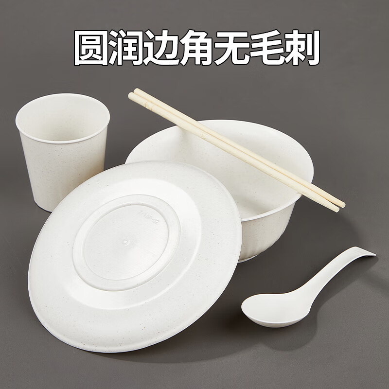 Youao disposable tableware set for 20 people, plates, bowls, chopsticks, cups and spoons, large thickened 5-piece set for partying, no-wash