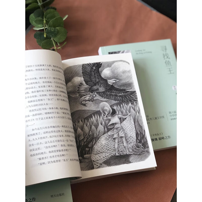 Looking for the Fish King (new edition) Mao Dun Literary Award winner Zhang Wei’s work won the China Good Book Award Recommended reading books by New Oriental founder Yu Minhong Reading extracurricular books Extracurricular independent reading Summer holiday reading Must-read Children’s gifts Recommended book list for primary school students