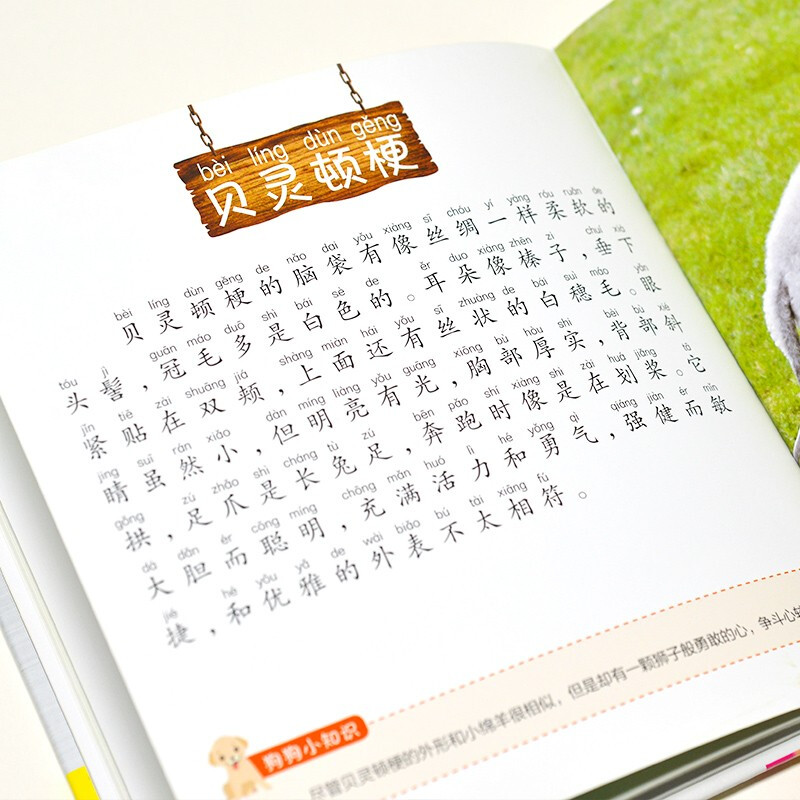 Dog Encyclopedia (1-Minute Children's Encyclopedia) Soft Pack Hardcover Audiobook Phonetic Version Popular Science Readings 3-6-8 Years Old Kindergarten Grade 1, 2, and 3