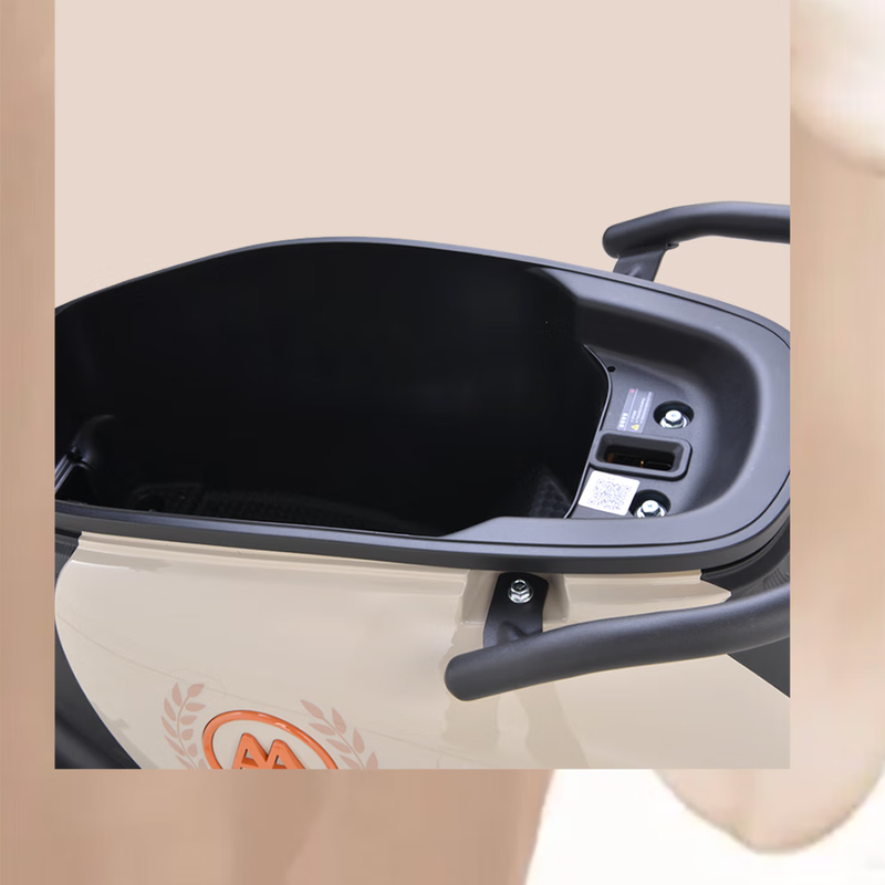 AIMA Electric Car Aido Youyue Electric Motorcycle Long Range Adult Transportation Takeaway Battery Car Aido With Backrest-Brilliant White