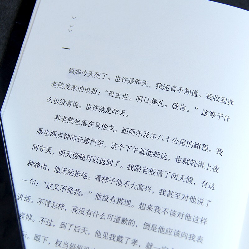 The Outsider (work by Camus, the Nobel Prize winner, fully unabridged translation by Li Yumin, the winner of the Fu Lei Translation and Publishing Award) novel