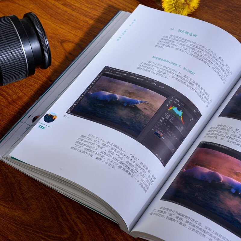 Photographer's post-production lessons: tone and color correction (revised edition) (produced by photographers)