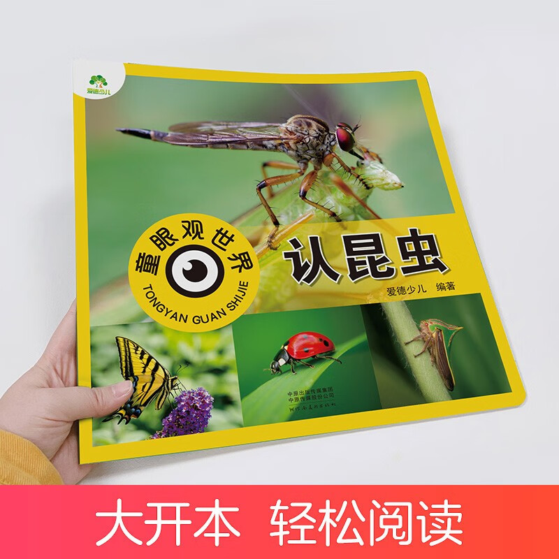 Recognize insects and see the world through children's eyes. Children aged 0-3-6-9 look at pictures and recognize objects. Encyclopedia of cognition