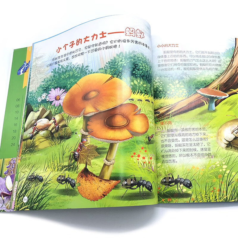 3-6 years old, Children’s Eyes on the World Science Museum, Summer Homework in the World of Insects, summer transition from primary school to secondary school, summer transition from primary school to junior high school