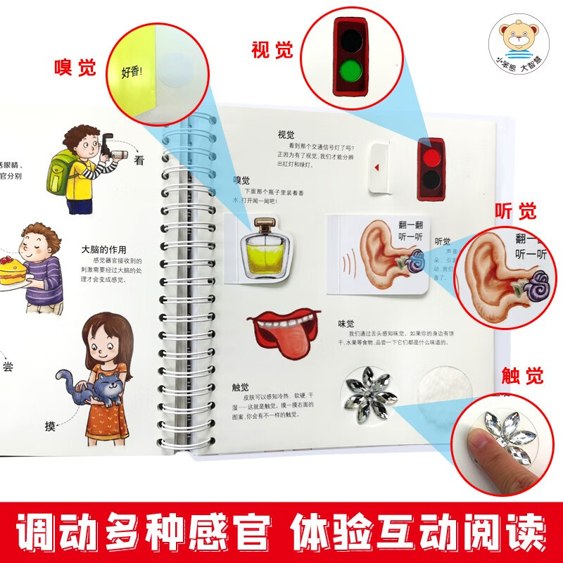 Little Stupid Bear Our Body Yang Muzhi, Editor-in-Chief of Encyclopedia of China Interactive Science 3D Book Safety Enlightenment Education Children's Flip Book Revealing the Secret of the Body Picture Book New and Old Covers Randomly Shipped (Green Printing of China Environmental Labeling Products) Summer Reading Extracurricular Books Extracurricular Summer Independent Reading Holiday Readings Money Saving Card