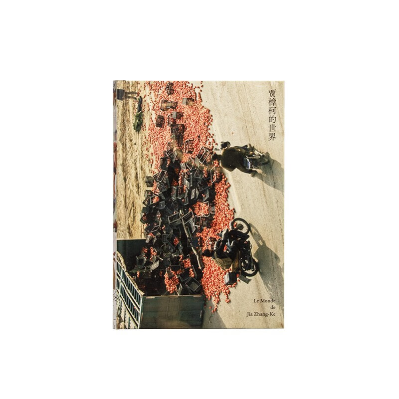 The World of Jia Zhangke (Essence)