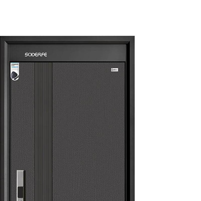 Sodelphi D-1019 Class A anti-theft door security door entry door smart door single door