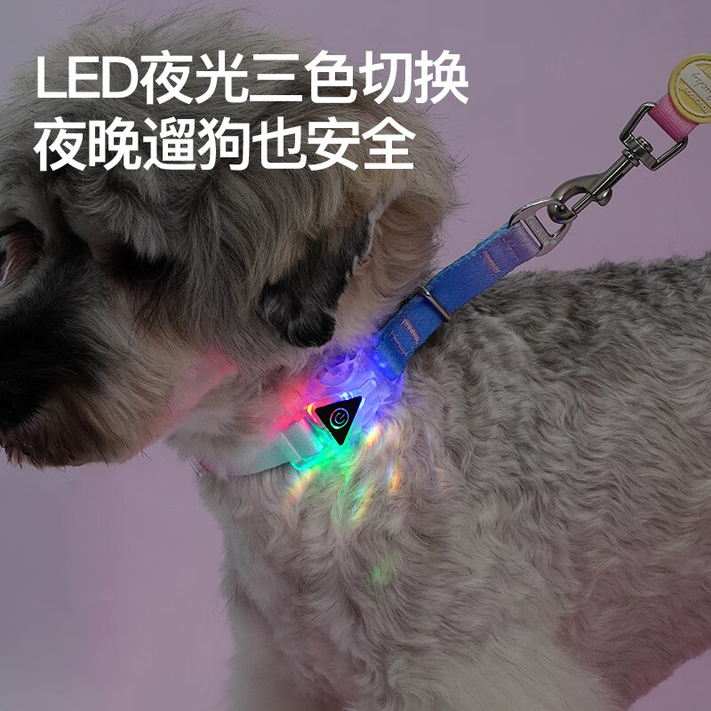 TOUCHDOG it it dog p chain collar collar traction rope dog walking chain small, medium and large dog training dog pet explosion-proof punch P chain-Sunrise Xiaguang S size recommended 5-20 pounds