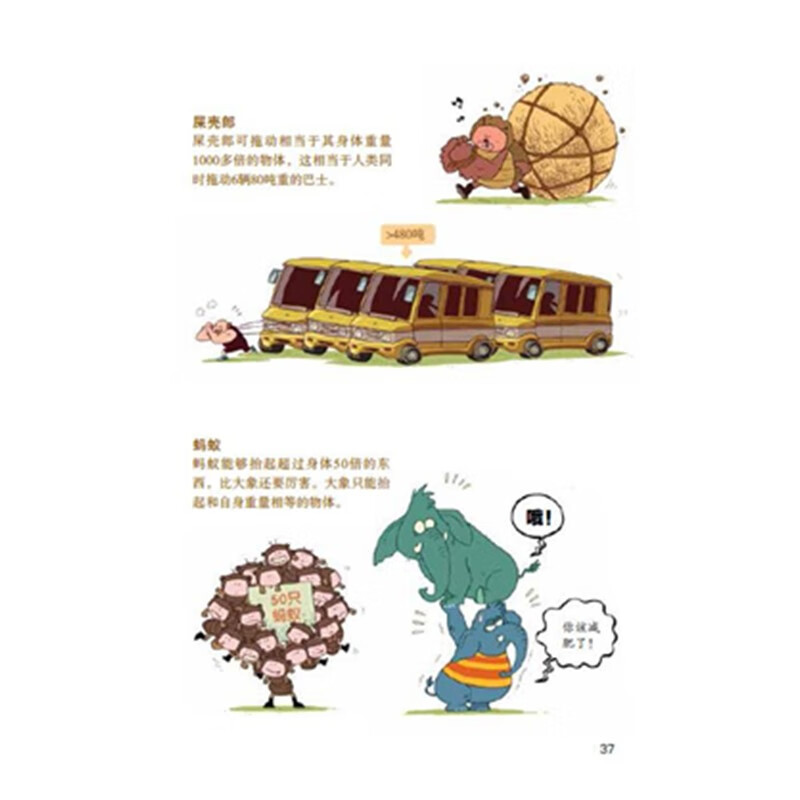 KuChong School popular science comics commemorative collection gift box (new 18 volumes, randomly given insect inserts or KuChong School Natural History Museum study punch book)