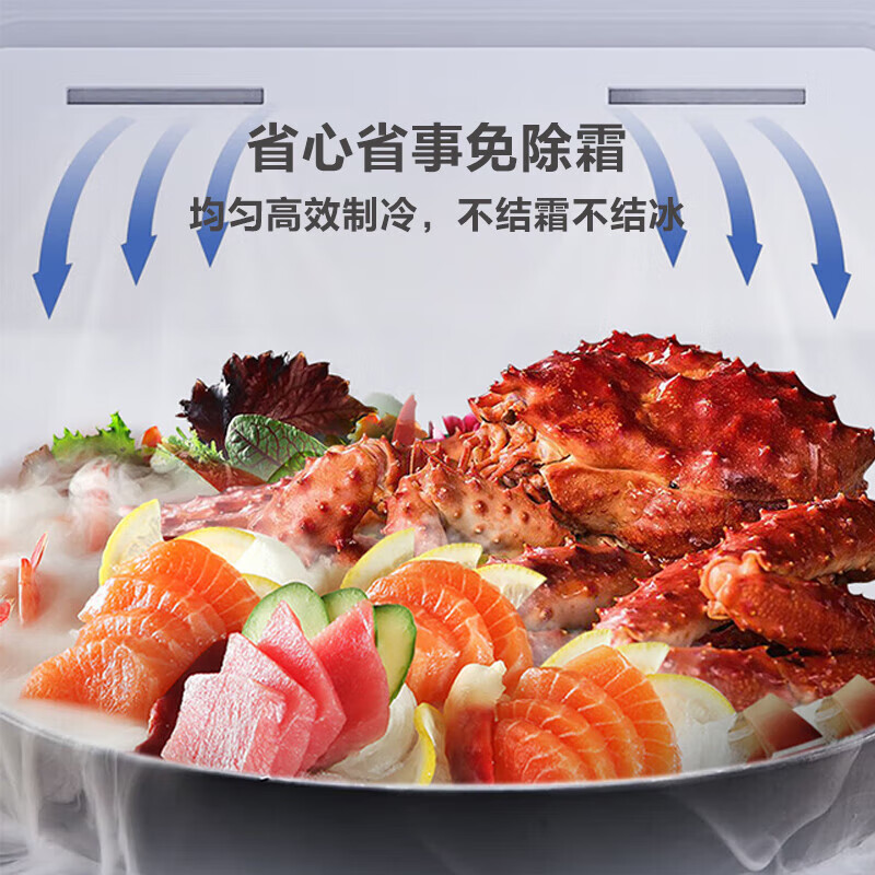 Rongsheng 201 liter air-cooled frost-free vertical freezer first-class energy efficiency computer temperature-controlled breast milk maternal and infant refrigeration freezer stocking small refrigerator subsidized trade-in 201L BD-201WRSY