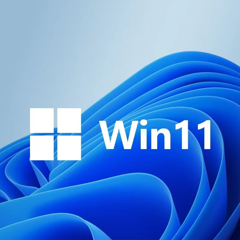 Win11 system genuine professional version windows11 reinstall system u disk professional version activation code upgrade to professional version win11 family Chinese version U disk version + key