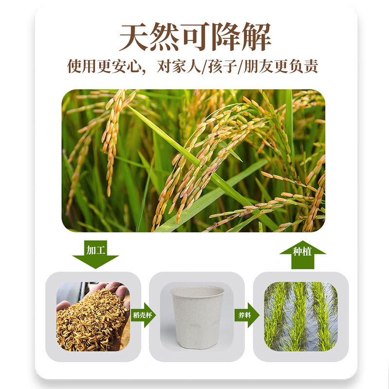 Daoying Disposable Cup Home Office Reception Tea Drinking Cup Kung Fu Tea Cup Food Grade Thickened Rice Hull Water Cup Rice Hull Tea Cup 60ml Two Packs (100 in total)