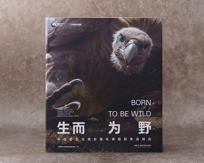 Born to be wild (conveying the power of life, selected from the 4 years of the China Wildlife Image Annual Competition, 219 natural photography works. Interpretation of wild nature, five-color printing, vivid details.)