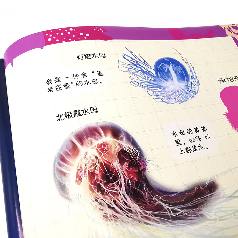 10 Minutes Focus Sea World Sticker Book Weird Sea Animals