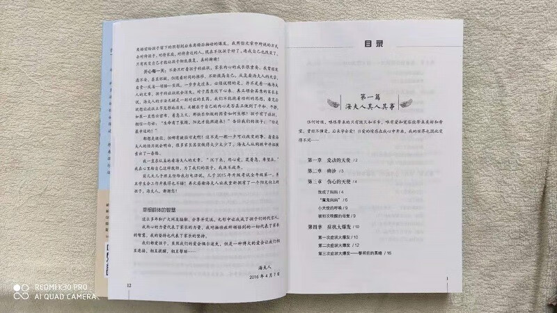 Love is the best remedy, the angel who protects the active, a guide to the rehabilitation of children with tics (new edition)